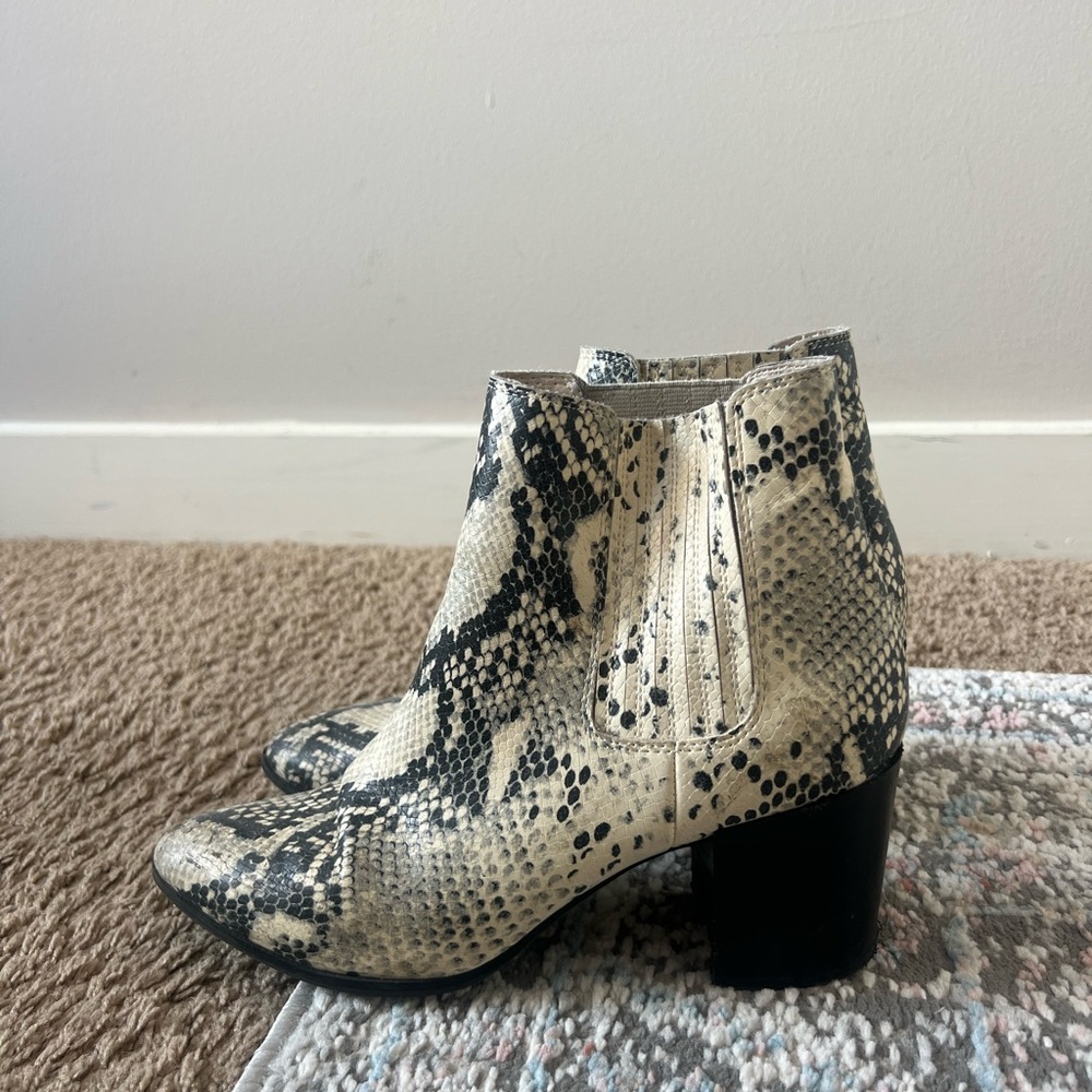 Slightly worn Steve Madden snake skin booties.